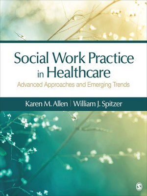 cover image of Social Work Practice in Healthcare